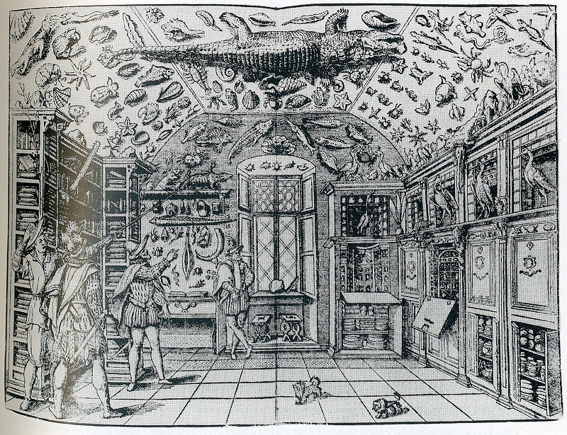 珍奇の陳列室　ナポリのフェッランテ・インペラートの博物館 1599