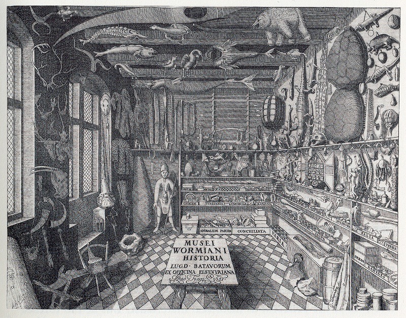 オーレ・ウォルムのムーサエウム・ウォルミアヌム　コペンハーゲン　1655