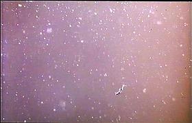 『デモンズ'95』 1994　約1時間39分：世界の涯の崖の下