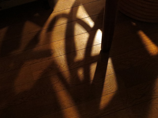 椅子の脚と影