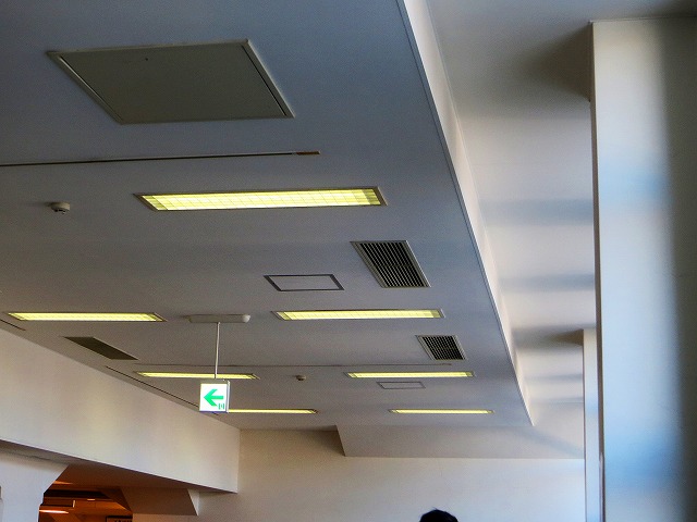 2025/11/29(2)�@�ɐ��A�F���R�c�w��K�c�̑ҍ���