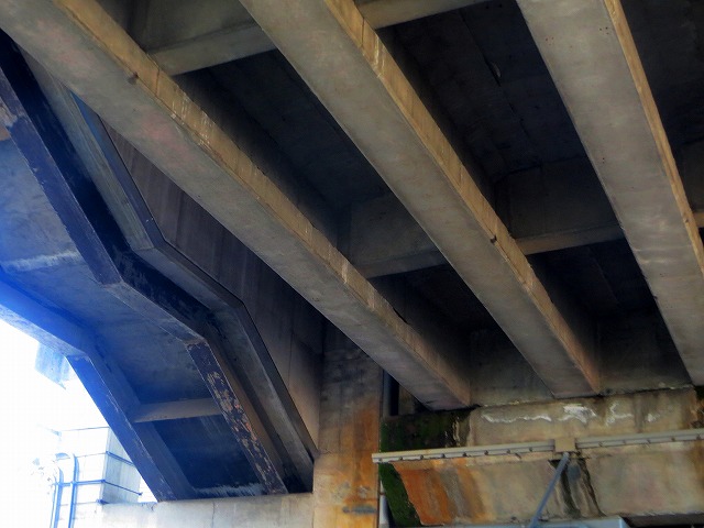 2025/11/29(4)�@�ɐ��A�F���R�c�w