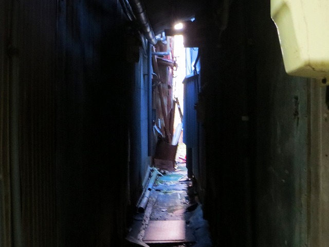 2025/11/29(6)�@�ɐ�