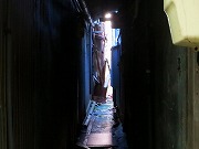 2025/11/29(6)�@�ɐ�