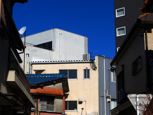 2025/11/29(9)�@�ɐ�