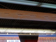 2025/11/29(11)�@�x��S�A�c�ۉw