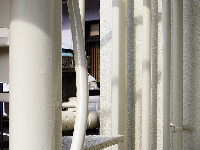 2026/02/05(1)�@�L�c