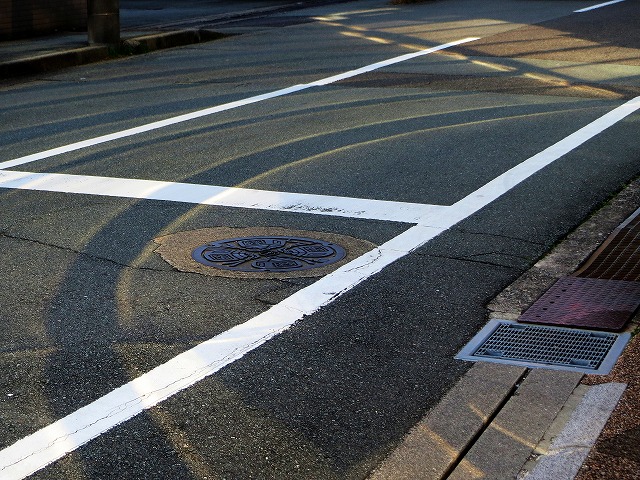 2026/03/01(1)�@����