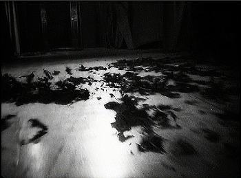 『アッシャー家の末裔』　1928　約37分：二階廊下、風と舞いこんだ落ち葉