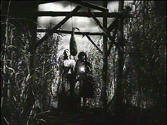 『私はゾンビと歩いた！』 1943　約38分：砂糖黍畑、手前に木枠に吊した何某か