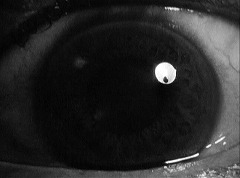 『らせん階段』 1945　約3分：眼球