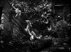 『謎の狼女』 1946　約35分：塀を跳び越える二匹の犬