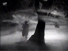 『扉の蔭の秘密』 1947　約1時間18分：林＋霧　～『狼男』(1941)