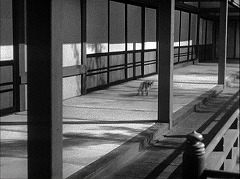 『怪猫岡﨑騒動』 1954　約35分：萩の部屋近くの廊下＋猫