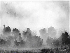『蜘蛛巣城』 1957　約1時間47分：動く森＋霧