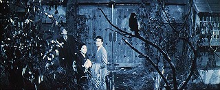 『亡霊怪猫屋敷』 1958　約8分：門＋鴉、上から