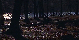 『吸血鬼ドラキュラの花嫁』 1960　約28分：水辺の森