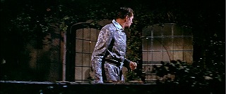 『忍者と悪女』 1963　約54分：バルコニー