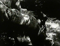 『生きた屍の城』 1964　約1時間21分：ボマルツォの《聖なる森》／《オルランドとアマゾーン》、アマゾーンによじ登るサンドロ