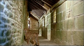 『世にも怪奇な物語』 1968　約16分：第1話　直線状廊下＋豹