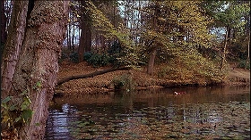『ドラキュラ血の味』 1970　約1時間26分：水辺の森