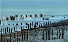 『催淫吸血鬼』 1971　約1時間34分：海岸、杭の列