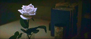 『血を吸う薔薇』 1974　約49分：白薔薇