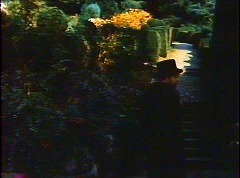『ラ・パロマ』 1974　約1時間29分：庭の階段　奥左に墓地