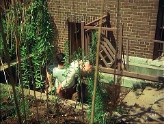 『犬神家の一族』 1976　約1時間12分：廃館　半地下の入口