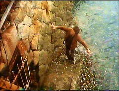 『麗猫伝説』 1983　約17分：石垣と格子をはめた開口部、上から