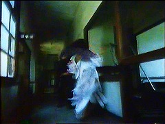 『麗猫伝説』 1983　約1時間14分：廊下