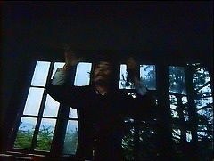 『麗猫伝説』 1983　約1時間14分：大きな窓のある別の部屋