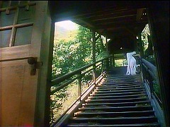『麗猫伝説』 1983　約1時間15分：屋外階段、下から