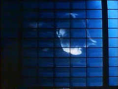 『麗猫伝説』 1983　約1時間20分：広間の障子＋『怪猫有馬御殿』(1953)から空飛ぶ生首