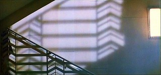 『ハンガー』 1983　約30分：診療所研究センターの階段＋影