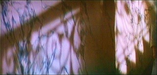 『ハンガー』 1983　約48分：階段室の壁＋欄干の影