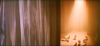 『ハンガー』 1983　約1時間24分：屋根裏＋白鳩