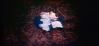 『地底探検』 1959　約1時間13分　燐光を発する池