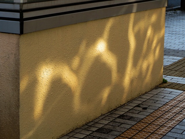 �Ẩ��^���Ȃǁ@2026/01/27