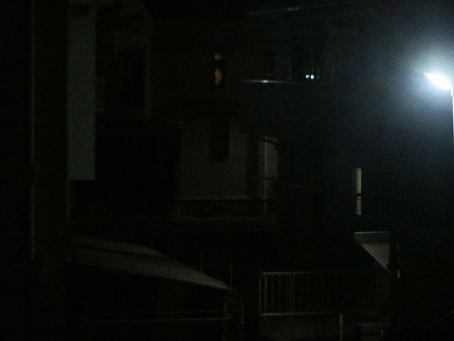 �Ẩ��^���Ȃǁ@2026/01/31