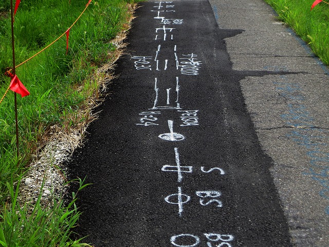 �Ẩ��^���Ȃǁ@2026/08/14