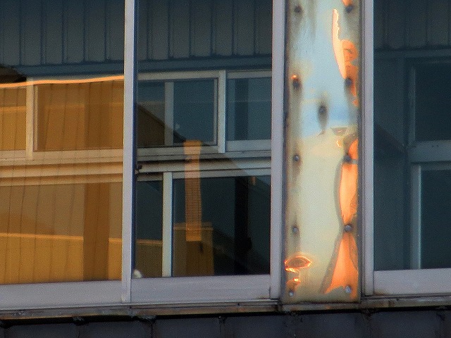 �Ẩ��^���Ȃǁ@2026/08/25