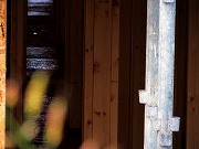 津の何某かなど　2026/09/05