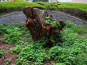 津の何某かなど　2026/09/25(2)