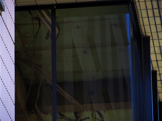 �Ẩ��^���Ȃǁ@2026/10/08(1)