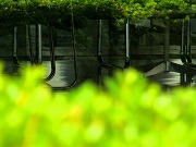 津の格子など　2025/11/18