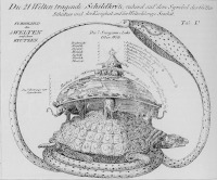 インドの亀蛇宇宙図（？）、1822