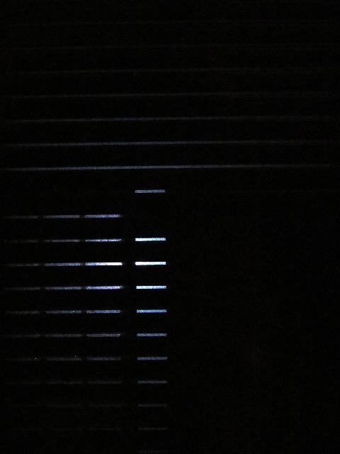 シャッターを下ろした夜の窓