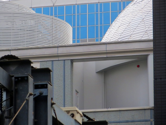 2025/04/28(3)@ls