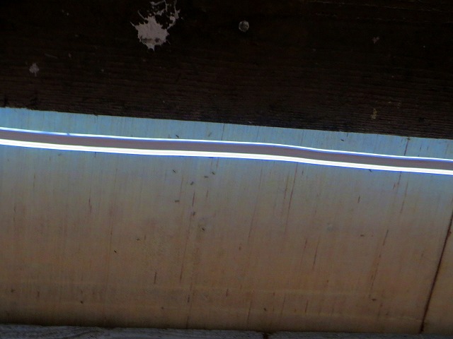 2025/06/15(13)@VAVwא